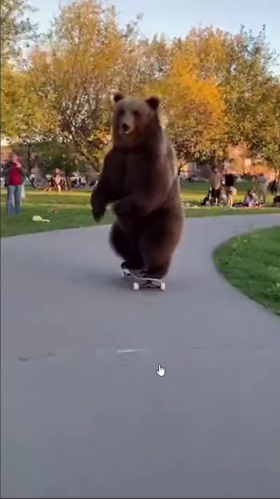 TikTok video preview